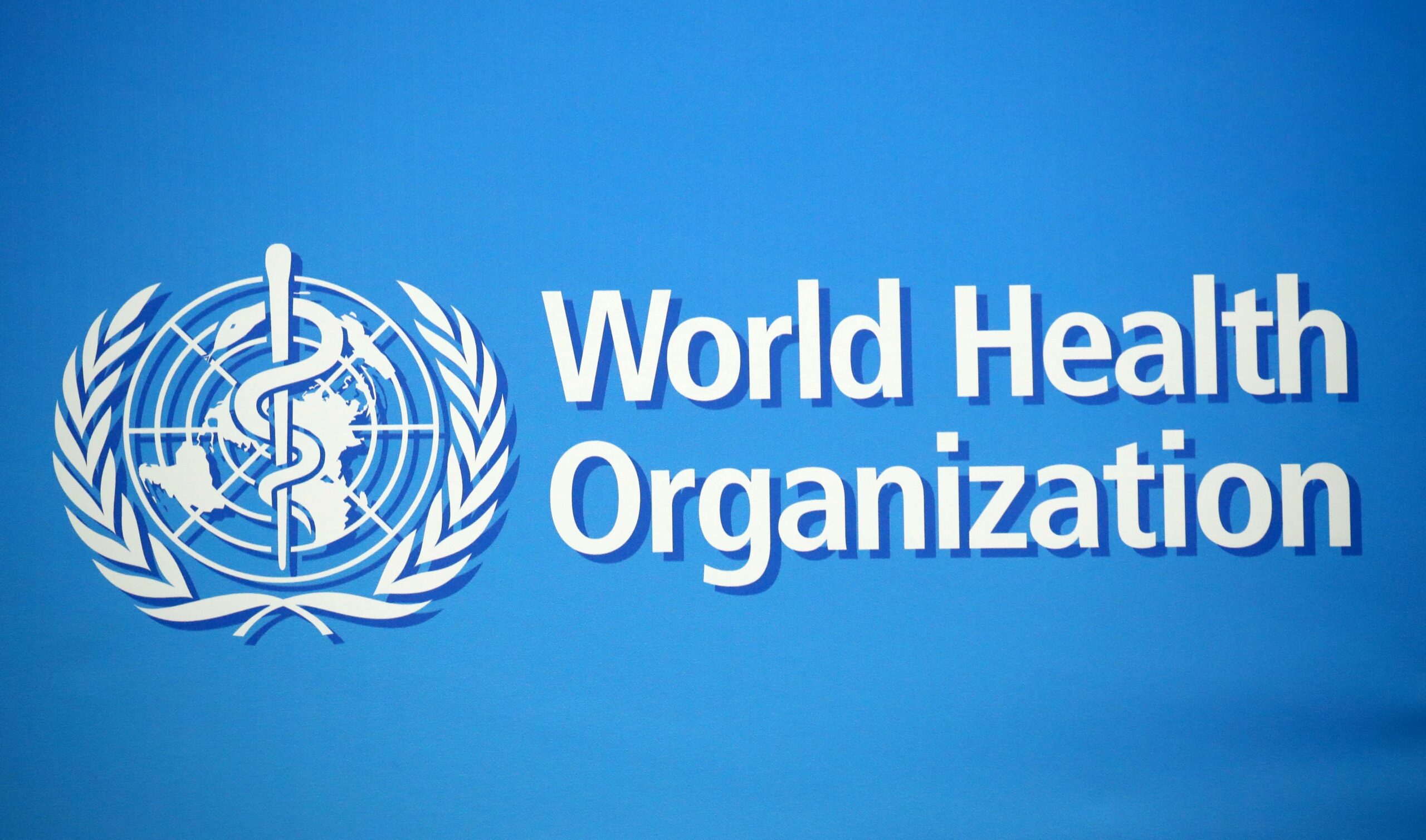 file photo: a logo is pictured at the who building in geneva